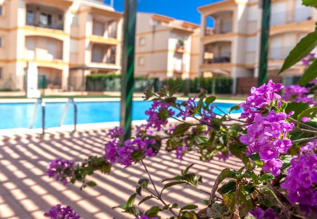 Апартаменты на Javea / Xàbia - Apartamento Caledonia Апартаменты на Javea / Xàbia - Apartamento Caledonia